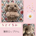  【限定】✨新作特別価格✨薄茶ロップ
