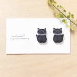 猫とパールピアス