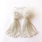 《⚠︎変更有り》all clear beads tassel pierce / earring