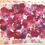 ♡new♡  ♡可愛い押し花セット♡ ♡たくさん入って使いやすい押し花セット♡