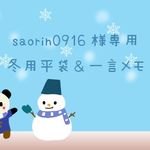 ★saorin0916様専用☆冬用平袋＆一言メモセット★