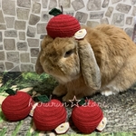 🌸定番商品🌸【再再販】りんごの帽子
