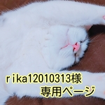 rika12010313様＊♪専用ページ