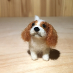 フェルト犬　キャバリア　ブレンハイムさん　<MW314>