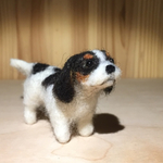 フェルト犬　キャバリア　トリコロールさん　<MW315>