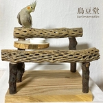 【ムートン☆様専用】カクタスボーンスタンドパーチ（サボテンの骨卓上パーチ）【オカメインコ・ウロコインコ】
