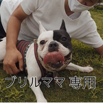 フレブルエコバッグ