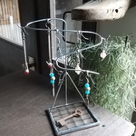 ピアススタンドスネークシルバー