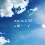 peachgya15様専用ページ