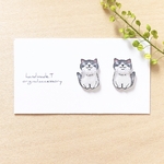 猫とパールピアス