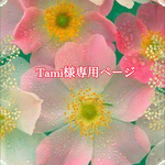 こちらはtami様専用ページです