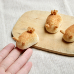 おかしなウミウシ（パン）