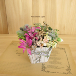 Petit Green Arrange 416