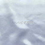 専用ページ