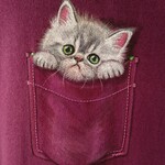 手描きポケット猫Tシャツ   エキゾチックショートヘア