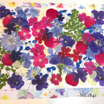 ♡new♡  ♡可愛い押し花セット♡ ♡たくさん入って使いやすい押し花セット♡