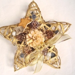 bright star