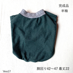 完成品・訳有り半袖・green