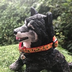 112noko様専用 甲斐犬 チョコちゃん 愛犬さんオーダー製作 樹脂粘土 人形