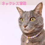 猫の首輪🐈パステルカラービーズ✨ネックレス首輪♡カラフルチャーム♥️