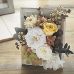 Antique mimosa d`or　＊　フレームアレンジメント