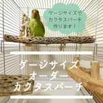 【noooon様専用】ゲージサイズでカクタスパーチ（サボテンの骨）直径5.5cm前後×675ｍｍ