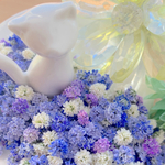 かすみ草ドライフラワー