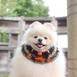 ハロウィンチョーカー💖パンプキン