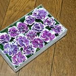 お花屋さんが作ったラベンダー色のサフィアのドライフラワー    ①