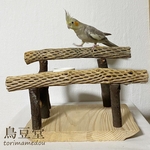 カクタスボーンスタンドパーチ（サボテンの骨卓上パーチ）【セキセイインコ・オカメインコ・ウロコインコ】