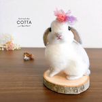 ホーランドロップ　うさぎ　羊毛フェルト　人形