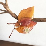 colored leaves2020 重ね