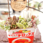 多肉植物の寄せ植え　sp012