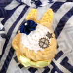 星ツムリ　ウミウシ属