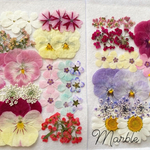 *＊Nana様専用♡mix押し花アソート2♡＊*