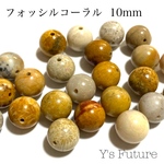 フォッシルコーラル 10mm 8粒セット