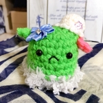 星ツムリ　メンダコ属