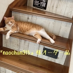 『naochan315』様オーダー品　　栗コースター　6枚