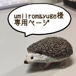umiiromayuge様専用ページ