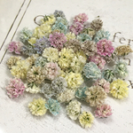 かすみ草　ドライフラワー　pastel sweet