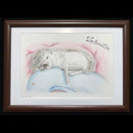 ハリネズミの絵🖼