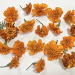 マリーゴールドドライフラワー＊17個