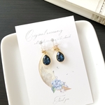 正統派モンタナブルーのシンプルイヤリング／ピアス