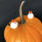 【おひとり様一点限り】〜ハロウィン限定〜カボチャを乗せたシマエナガ 