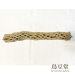 【iroha-25様専用】ゲージサイズでカクタスパーチ（サボテンの骨）直径5.5cm前後×44cm