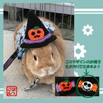 うさぎ用🐰ハロウィン🎃帽子