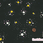 USAコットン COTTON+STEEL Eclipse 太陽月星 ブラック 生地 布 天体