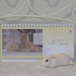 まつもつ　2021 calendar