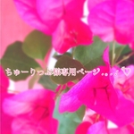 ちゅーりっぷ様専用ページ✿*: