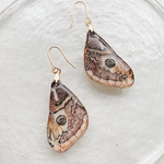 クジャクヤママユの翅耳飾り(蝶々)(昆虫)(蛾)